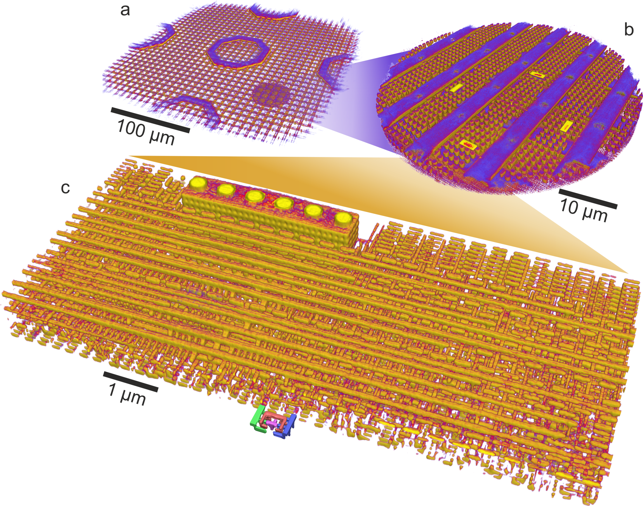 Enlarged view: An optical image and cross section of the device used in this study.